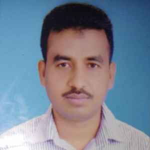 Team Member